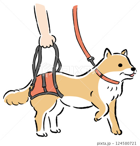 ウォーキングベルトを使うシニア犬の手描きイラスト 124580721