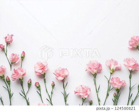 画面下に並んでいるカーネーションのフレーム 母の日のタイトル背景 124580821