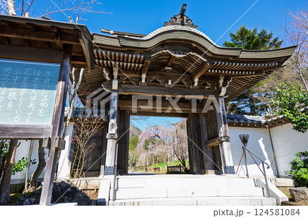 山門・正門風景 浄専寺 「天然記念物 樹齢300年以上を誇るしだれ桜」宮崎県 五ヶ瀬町 山門・正門風景 浄専寺 「天然記念物 樹齢300年以上を誇るしだれ桜」宮崎県 五ヶ瀬町 124581084