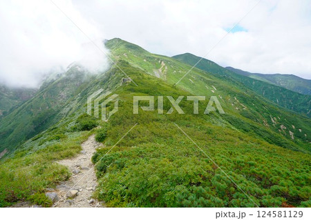 大朝日岳山頂への登山道 124581129