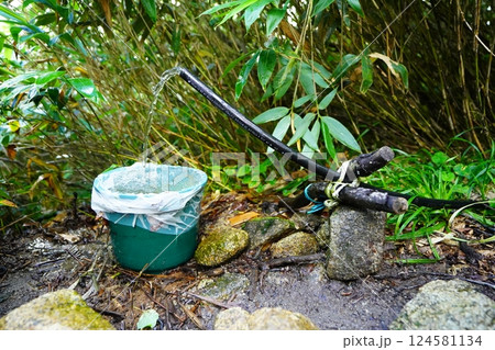 大朝日岳の三沢清水 大朝日岳の三沢清水 124581134