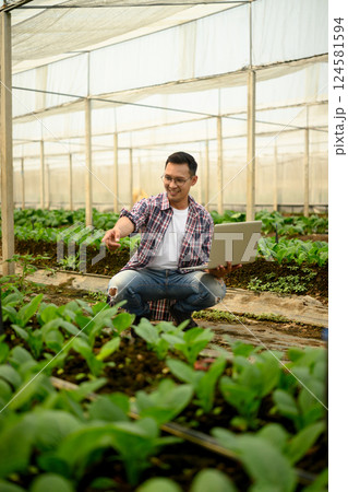 Young man using laptop to analyze crop development in a greenhouse. Smart farming concept 124581594