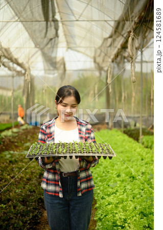 Female farm worker holding a tray of vegetable seedlings inside a greenhouse. Female farm worker holding a tray of vegetable seedlings inside a greenhouse. 124581689
