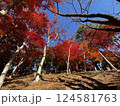 紅葉のある風景 124581763
