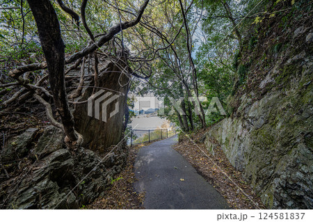 美濃市の風景 美濃市の風景 124581837