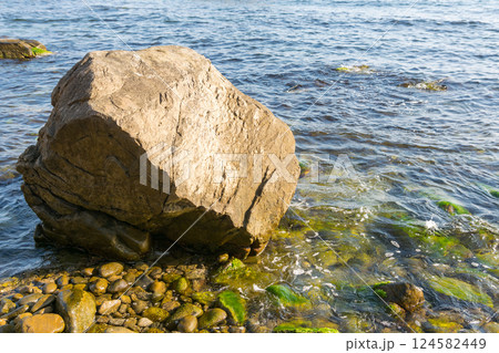 huge rock on the pebble sea shore. transparent calm water with seaweed near the coast. summer vacation at the beach on a sunny morning 124582449