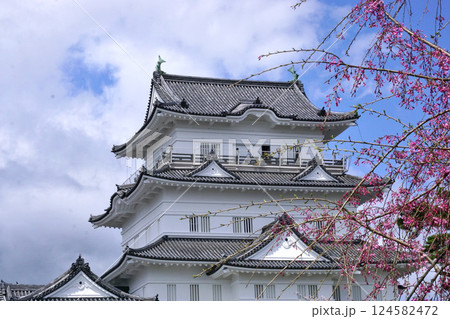 小田原城 小田原城 124582472