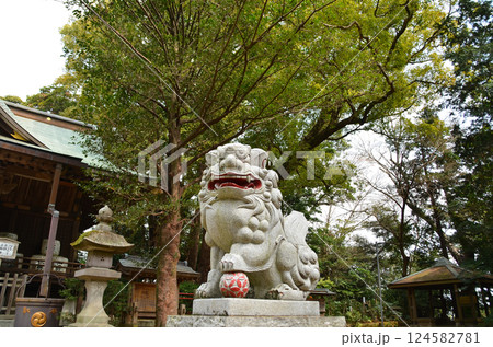 千葉県香取郡神崎町神崎本宿の神崎神社　御神木の大クス 124582781