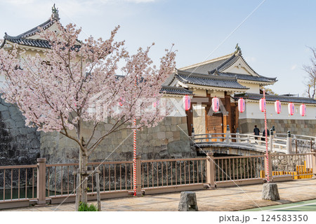 【静岡県】駿府城公園・東御門の桜 (静岡まつり) 【静岡県】駿府城公園・東御門の桜 (静岡まつり) 124583350