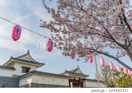 【静岡県】駿府城公園・東御門の桜 (静岡まつり) 【静岡県】駿府城公園・東御門の桜 (静岡まつり) 124583351