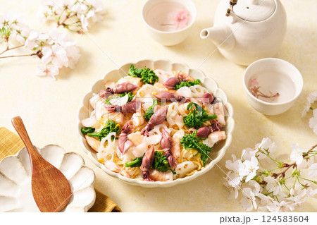 春のちらし寿司 124583604