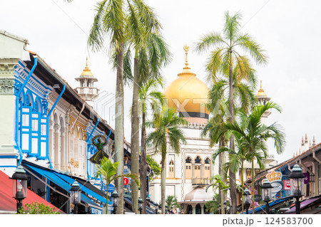 シンガポールのアラブストリートにあるサルタンモスクの美しい風景 シンガポールのアラブストリートにあるサルタンモスクの美しい風景 124583700