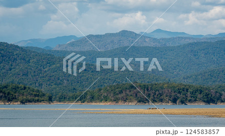 Landscape view and wild asian elephant or Elephas maximus family or herd in Habitat on ramganga river reservoir and foothills of himalaya at dhikala zone of jim corbett national park uttarakhand india 124583857