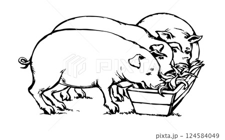 Vector drawing. Pigs eating rhe food Vector drawing. Pigs eating rhe food 124584049