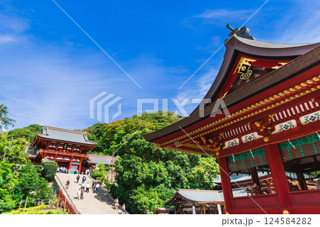 鎌倉 鶴岡八幡宮 本宮と舞殿 鎌倉 鶴岡八幡宮 本宮と舞殿 124584282