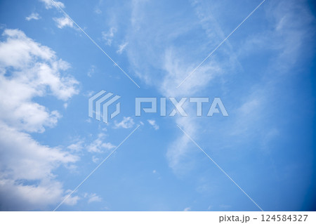 青空 春の空 晴れ 春 3月 【東京都】 124584327