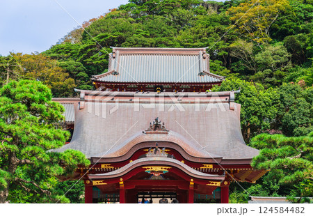 鎌倉　鶴岡八幡宮　舞殿と本宮 124584482