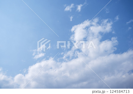 青空 春の空 晴れ 春 3月 【東京都】 124584713