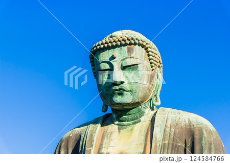 鎌倉大仏 高徳院 鎌倉大仏 高徳院 124584766