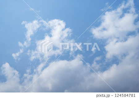 青空 春の空 晴れ 春 3月 【東京都】 青空 春の空 晴れ 春 3月 【東京都】 124584781