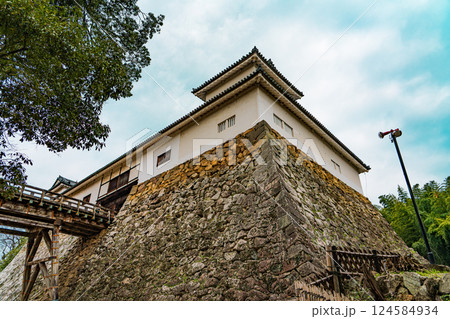 彦根城の廊下橋と天秤櫓 124584934