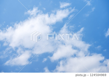 青空 春の空 晴れ 春 3月 【東京都】 124584969