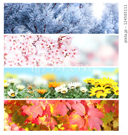 Set of horizontal nature banners. Four season of year. Each one features scene of nature, from the gentle snowfall of winter to the vibrant leaves of summer. Perfect for showcasing changing seasons Set of horizontal nature banners. Four season of year. Each one features scene of nature, from the gentle snowfall of winter to the vibrant leaves of summer. Perfect for showcasing changing seasons 124585111