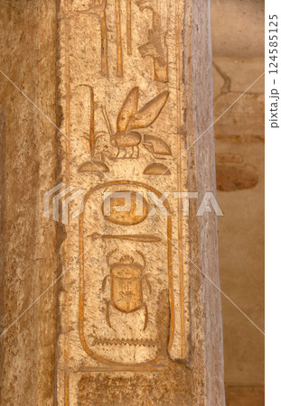 Vertical background with ancient Egyptian hieroglyphs on stone wall, Egypt, Africa. Backdrop with sandstone carving with hieroglyph. Mock up template. Copy space for text Vertical background with ancient Egyptian hieroglyphs on stone wall, Egypt, Africa. Backdrop with sandstone carving with hieroglyph. Mock up template. Copy space for text 124585125