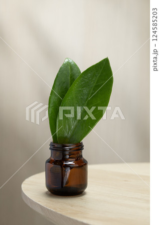 Zanzibar Gem or ZZ Plant leaves in water create a minimalist natural display. 124585203