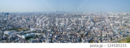 空撮「東京都」東京スカイツリーと都市風景 空撮「東京都」東京スカイツリーと都市風景 124585231