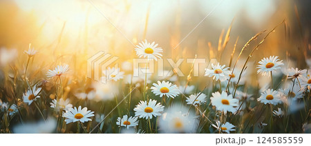 Field of blooming white daisies. AI-generated item 124585559