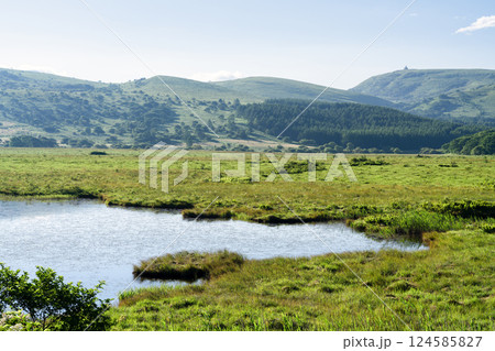 長野県下諏訪町　夏の八島ヶ原湿原 124585827