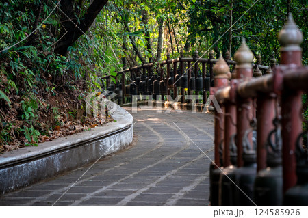 Walkway with the metal bronze bells around and beside of it in the jungle environment, at Wat Phra That Doi Tung temple, Chiang Rai Province, North of Thailand. Walkway with the metal bronze bells around and beside of it in the jungle environment, at Wat Phra That Doi Tung temple, Chiang Rai Province, North of Thailand. 124585926