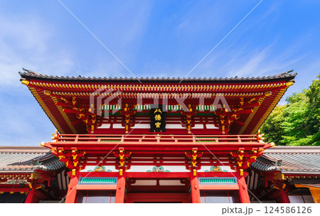 鎌倉 鶴岡八幡宮 本宮 鎌倉 鶴岡八幡宮 本宮 124586126