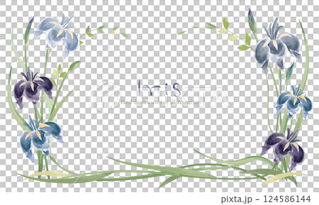 水彩で描いた菖蒲の花と植物のフレーム 水彩で描いた菖蒲の花と植物のフレーム 124586144