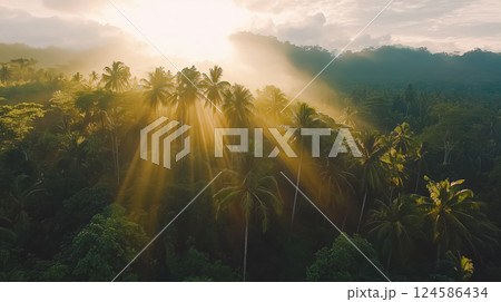 Aerial view of sun rays through tropical...のイラスト素材 [124586434] - PIXTA