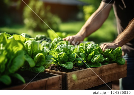 Harmony in Urban Agriculture: Wooden Raised Beds Flourish in a Modern Garden, Cultivating Plants, Herbs, Spices, and Vegetables for a Thriving Community Urban Rooftop Garden Oasis. created with 124586830