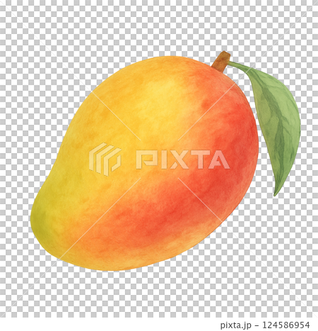 Watercolor illustration of a tropical, juicy mango with beautiful colors 124586954