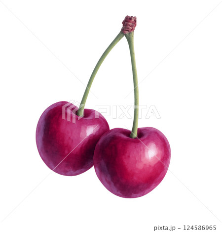 水彩風 色がキレイなアメリカンチェリーのイラスト素材 水彩風 色がキレイなアメリカンチェリーのイラスト素材 124586965