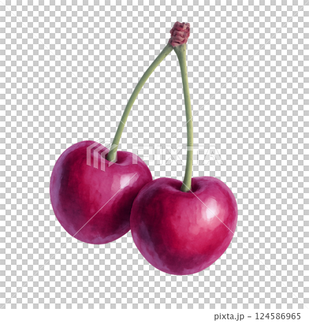 水彩風 色がキレイなアメリカンチェリーのイラスト素材 水彩風 色がキレイなアメリカンチェリーのイラスト素材 124586965