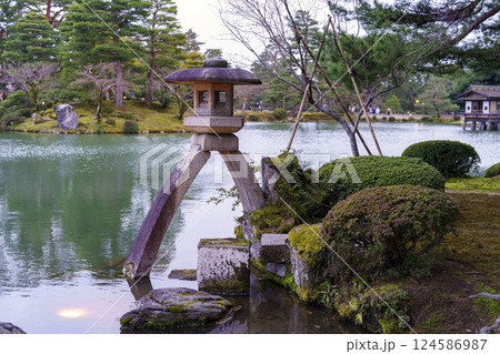 観桜期のライトアップされた兼六園の徽軫灯籠 124586987
