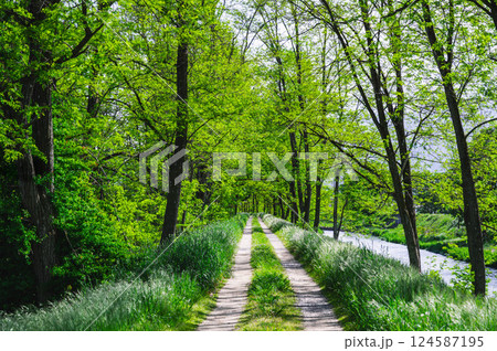 春の万水川遊歩道 124587195