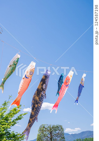青空と鯉のぼり 青空と鯉のぼり 124587198