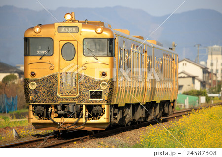 春の久大本線を行く「或る列車」（JR九州） 124587308