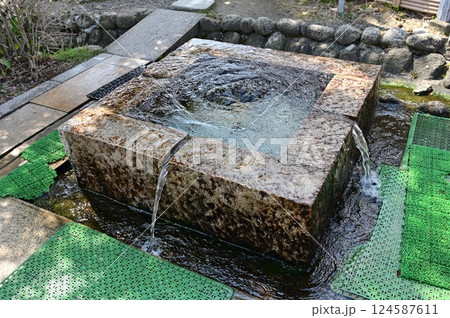 自噴水と豊富な湧き水 自噴水と豊富な湧き水 124587611