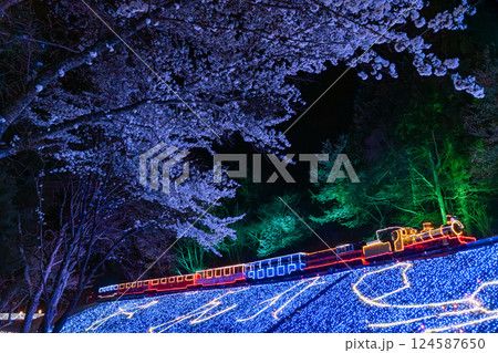 夜の桜と機関車のイルミネーション 伊豆 修善寺 虹の郷 夜の桜と機関車のイルミネーション 伊豆 修善寺 虹の郷 124587650