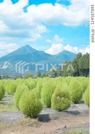 可愛いトトロと磐梯山 124587893