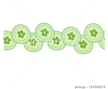 Cucumber slice horizontal seamless border. Vector flat illustration Natural healthy organic food Flat isolated on a white background. Ideal for menu, package, cosmetic, textile, cards Eat green Cucumber slice horizontal seamless border. Vector flat illustration Natural healthy organic food Flat isolated on a white background. Ideal for menu, package, cosmetic, textile, cards Eat green 124588274