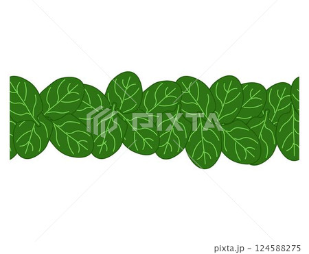 Green spinach leaves seamless horizontal border leafy vegetables frame, boxing, bordering. card template. Vector flat illustration banners, print for fabric, labels, t-shirt printing. Eat green Green spinach leaves seamless horizontal border leafy vegetables frame, boxing, bordering. card template. Vector flat illustration banners, print for fabric, labels, t-shirt printing. Eat green 124588275