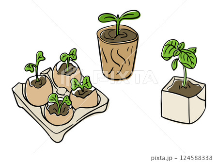 Seedlings growing in eco-friendly containers Seedlings growing in eco-friendly containers 124588338